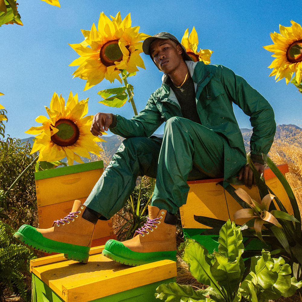 Botas Masculino - Timberland 6-Inch Bee Line X Impermeavel Rubber Toe - GKLCQ0819 - Marrom/Verdes